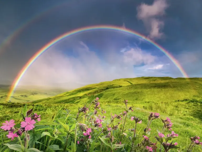 Ravensburger: Power of Nature - Stefan Hefele, Rainbowscape (1500)