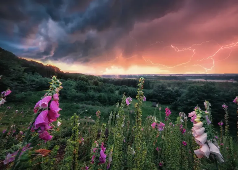 Ravensburger: Power of Nature - Stefan Hefele, Dreamy Thunder (1000)