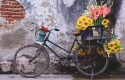 Ravensburger: Puzzle Moment - Bicycle (200)