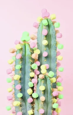 Ravensburger: Puzzle Moment - Cactus (200)