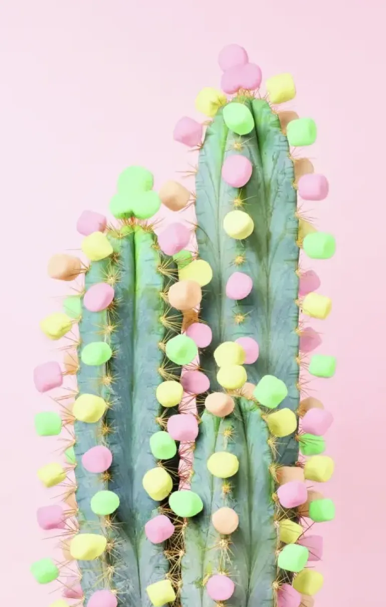 Ravensburger: Puzzle Moment - Cactus (200)