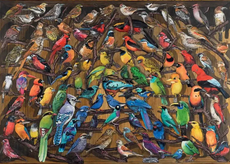Ravensburger: Rainbow of Birds (1000)