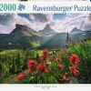 Ravensburger: Stefan Hefele - Pristine Mountains (2000)