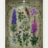 Ravensburger: Toxic Plants (1000)