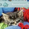 Ravensburger: Wool Cat (100)
