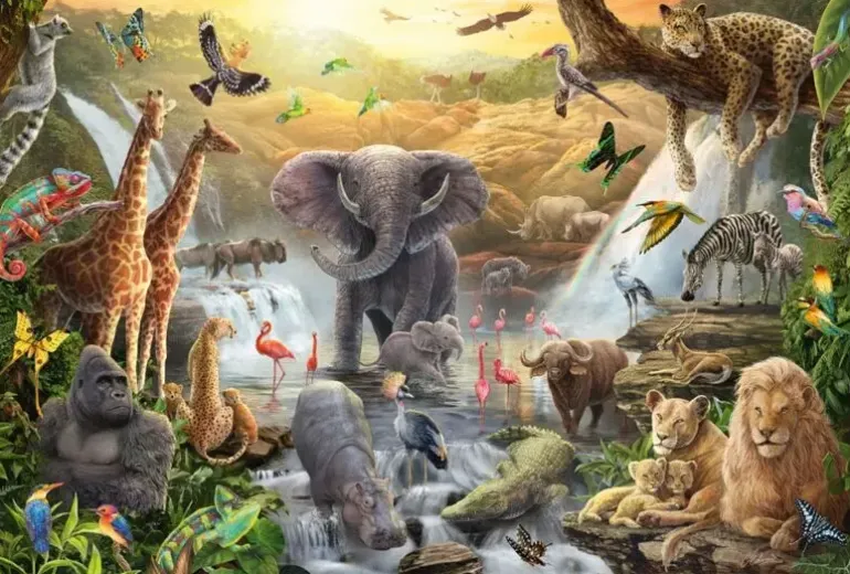Schmidt: Animals in Africa (60)