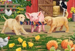 Schmidt: Animals on the Farm (3 x 48)