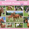 Schmidt: Beautiful Horses (150)