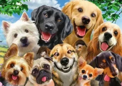 Schmidt: Dog Selfie (500)
