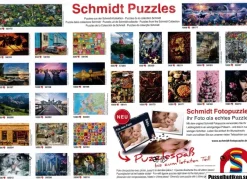 Schmidt: Dream in the Universe (1000)