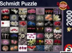 Schmidt: Floral Greeting (2000)