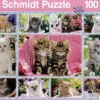 Schmidt: Kittens (100)