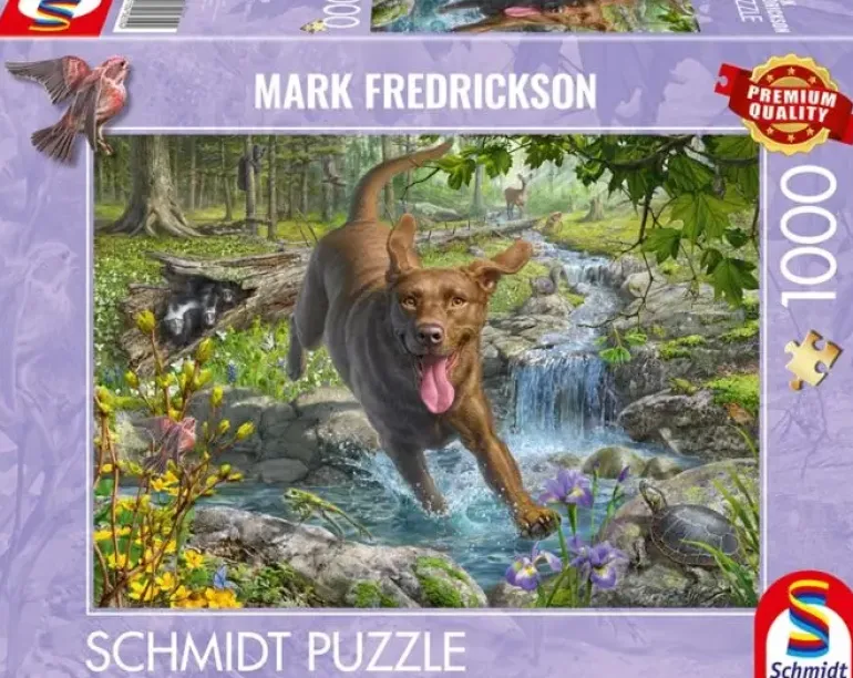 Schmidt: Mark Fredrickson - Springtime Cavorting with a Labrador Retriever (1000)