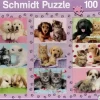 Schmidt: My Animal Friends (100)