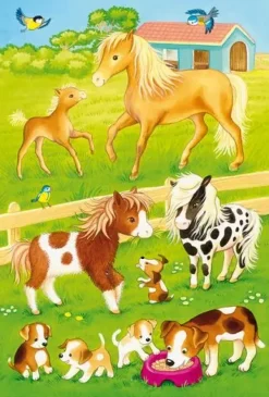 Schmidt: My Farmyard Friends (3 x 24)
