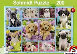 Schmidt: Puppies (200)