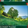 Schmidt: Sycamore Maple in the Sunlight - St. Gallen, Switzerland (1000)