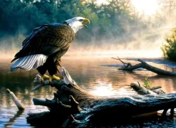 SunsOut: Scouting the River (1000)