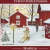 Svenskapussel: Erkers Marie Persson - Sparktur (1000)