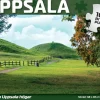 Svenskapussel: Uppsala - Gamla Uppsala Högar (1000)