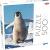 Tactic: Baby penguin (500)