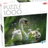 Tactic: Swan on Lake with Babies (1000)