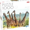 Tactic: Tall Giraffes (1000)