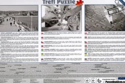 Trefl: Afternoon Idyll (4000)
