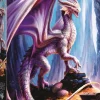 Trefl: Anne Stokes - Treasure Trove (1000)