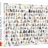 Trefl: 208 Cats (1000)