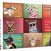 Trefl: Funny Cats Faces (1500)