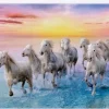 Trefl: Galloping White Horses (500)