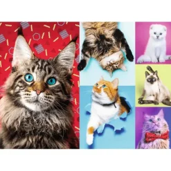 Trefl: Happy Cats (1000)