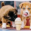 Trefl: Ice-cream Time! (500)