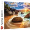 Trefl: Samudra Beach, India (1000)