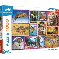 Trefl: Wild Nature (1000)