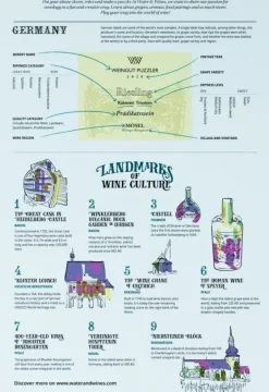 Water & Wines: Germany - Wine Puzzle (1000)
