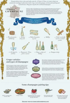 Water & Wines: The World of Champagne Puzzle (1000)