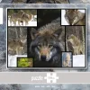 WWF Puzzle: Wolves (1000)